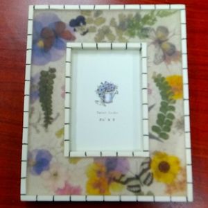 Secret Gardens butterfly and flower picture frame